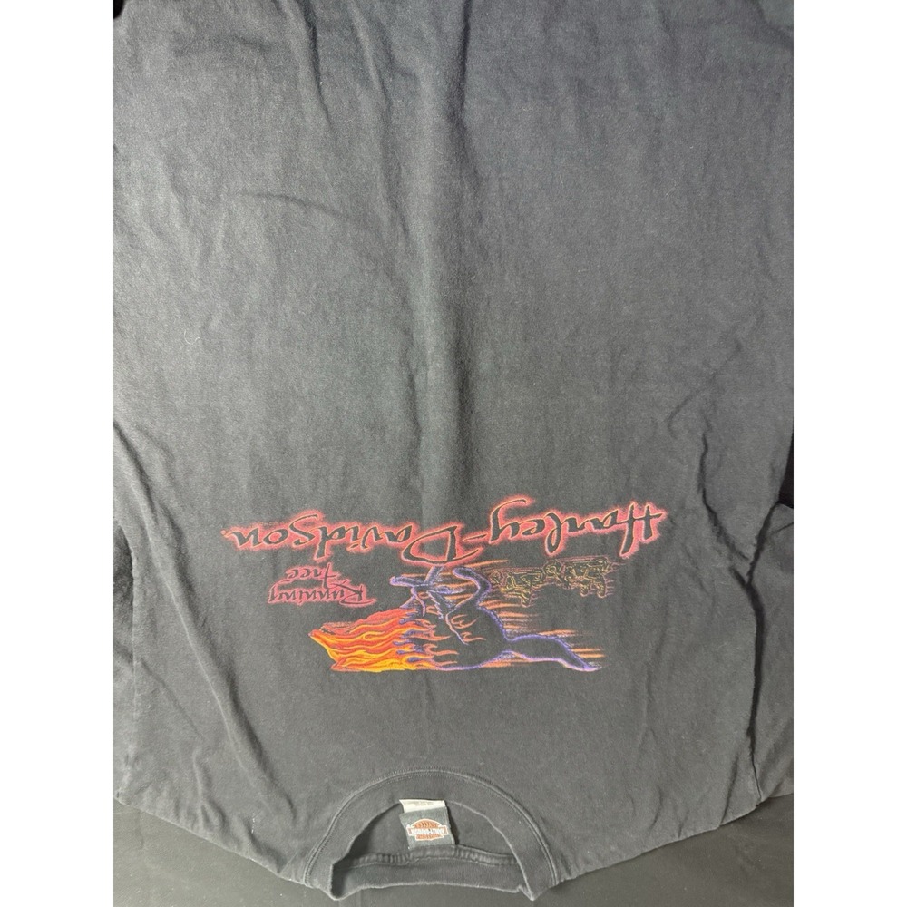 Vintage Y2K Harley-Davidson Johnson City TN Black Tee L Biker